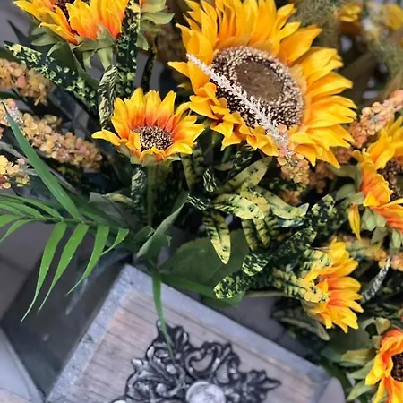 Sunflower Apartament *