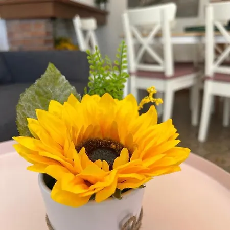 Sunflower Apartament Apartment Sirmione